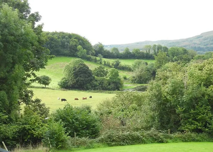 Peaceful, Scenic Family Sligo